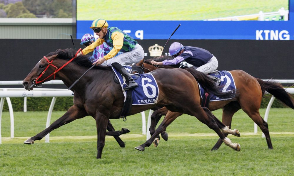 作为一名年 作为一名年