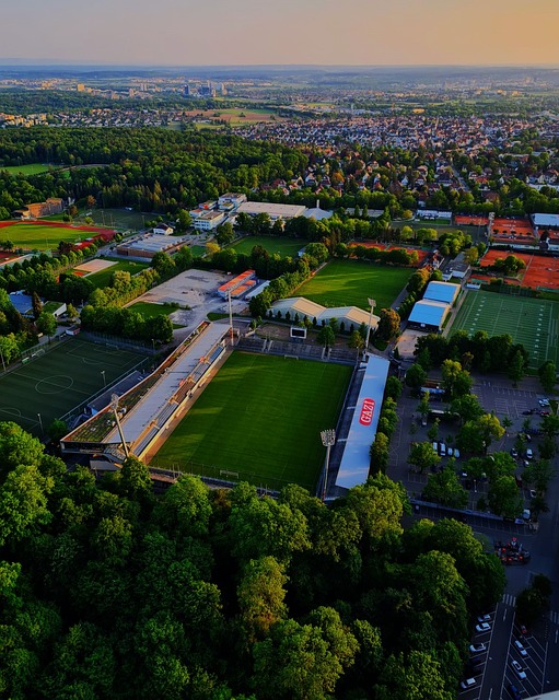 凭借他们敏 凭借他们敏