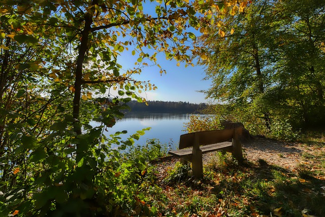 重大打击 重大打击