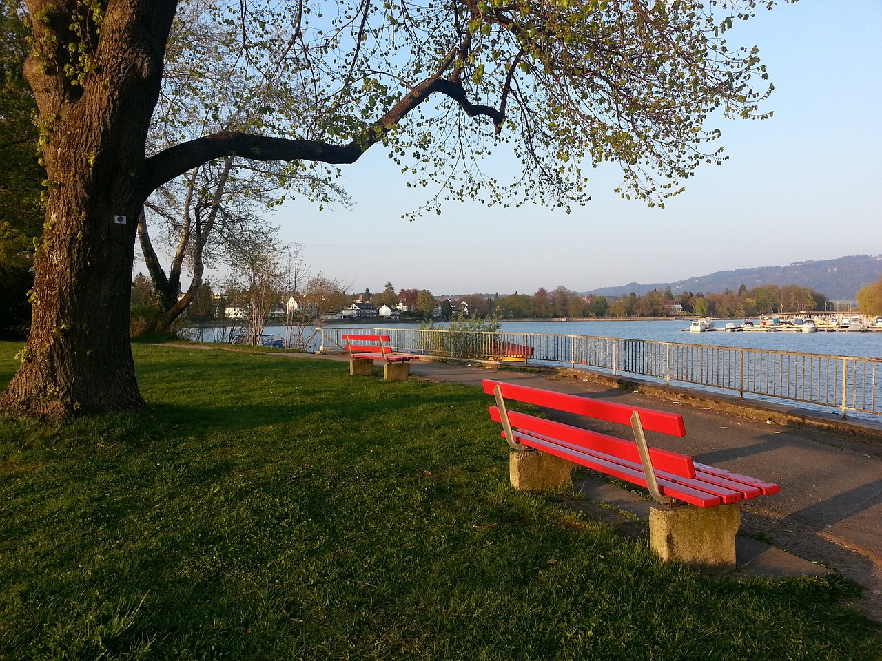 成为赛场上 成为赛场上