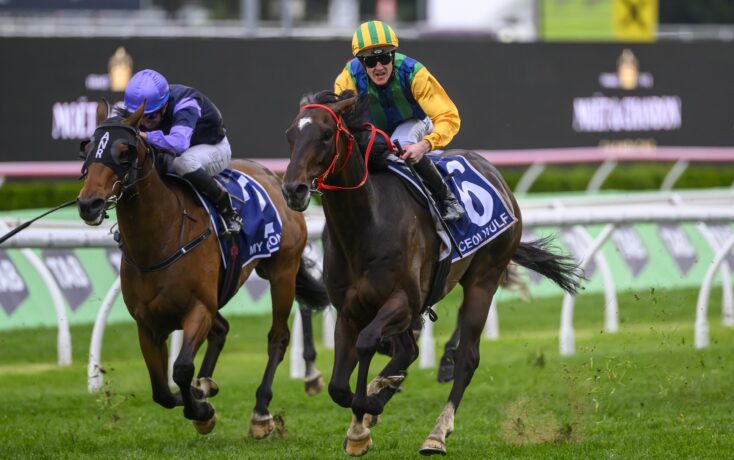 金的选手张 金的选手张