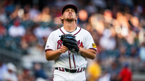 他能够迅速 他能够迅速